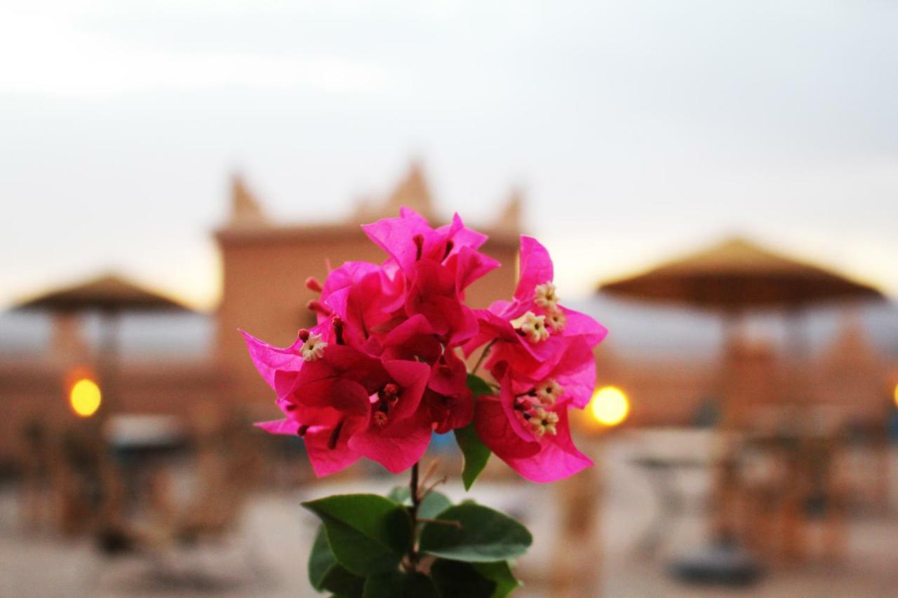 Hotel Kasbah Ennakb Nkob Exteriér fotografie